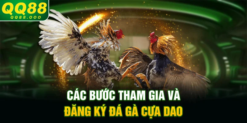 Các bước tham gia và đăng ký đá gà cựa dao