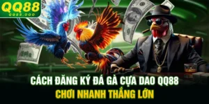 Cách đăng ký đá gà cựa dao QQ88 - Chơi nhanh thắng lớn