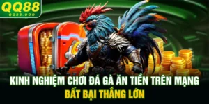 Kinh nghiệm chơi đá gà ăn tiền trên mạng bất bại, thắng lớn
