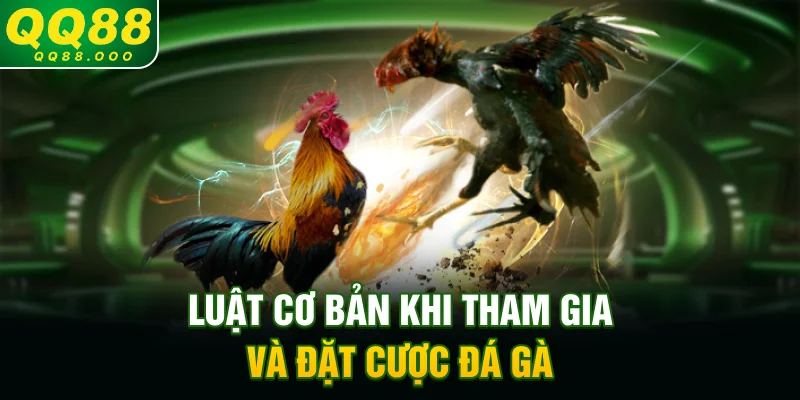 Luật cơ bản khi tham gia và đặt cược đá gà