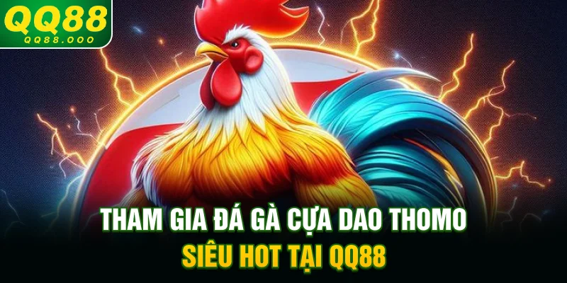 Tham gia đá gà cựa dao Thomo siêu hot tại QQ88