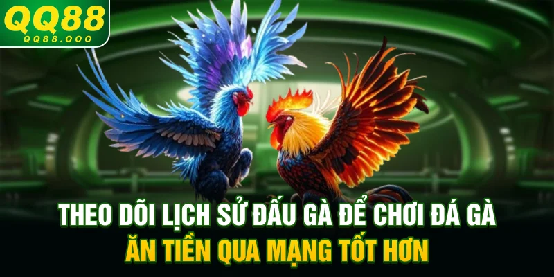 Theo dõi lịch sử đấu gà để chơi đá gà ăn tiền qua mạng tốt hơn